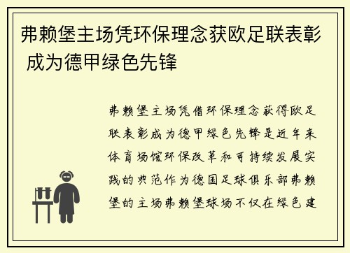 弗赖堡主场凭环保理念获欧足联表彰 成为德甲绿色先锋