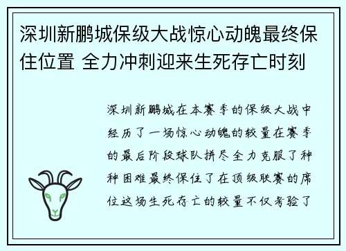 深圳新鹏城保级大战惊心动魄最终保住位置 全力冲刺迎来生死存亡时刻 深圳新鹏城保级大战惊心动魄最终保住位置 全力冲刺迎来生死存亡时刻